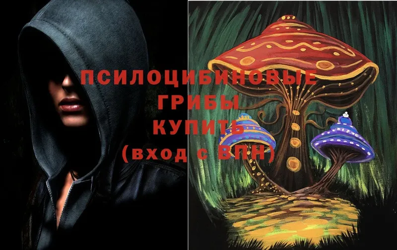 Галлюциногенные грибы Cubensis  Усть-Катав 